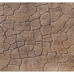 Proline Seamless Cracked Mud